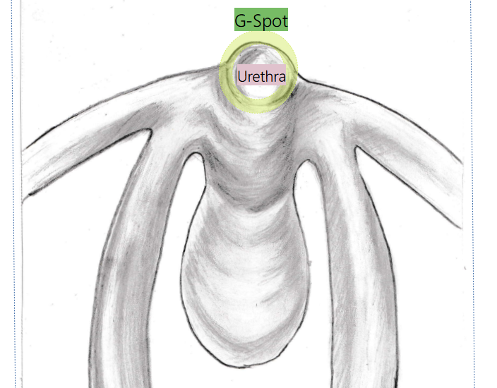 gspot G Spot